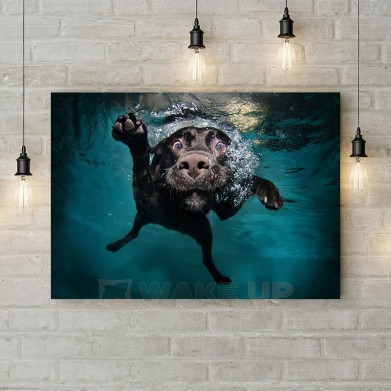 Картина на холсте "Собака-подводник"
