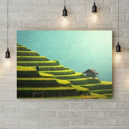 Картина на холсте "Рисовые поля"