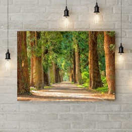 Картина на полотні "Дорога крізь ліс"