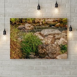 Картина на полотні "Берег гірської річки"