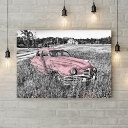 Картина на холсте "Красное авто в поле"