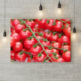 Картина на холсте "Ветви помидоров"