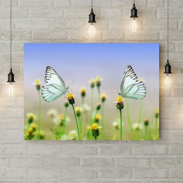 Картина на холсте "Белые бабочки"