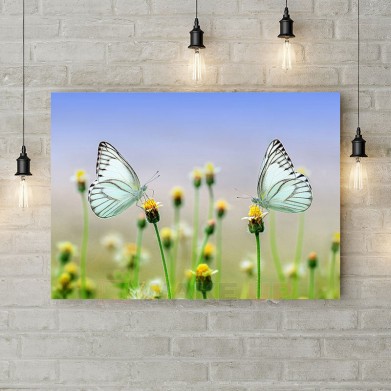 Картина на полотні "Білі метелики"