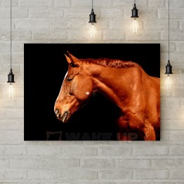 Картина на холсте "Взгляд лошади"