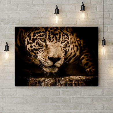 Картина на холсте "Взгляд ягуара"