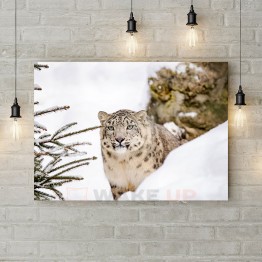 Картина на холсте "Снежный леопард"