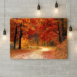 Картина на полотні "Фарби осені у лісі"