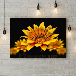Картина на полотні "Яскраво-жовті квіти на чорному тлі"