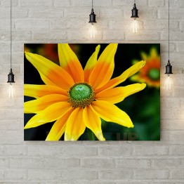 Картина на полотні "Сонячна квітка"