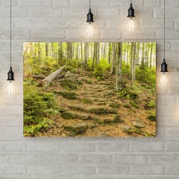 Картина на полотні "Лісова стежка"