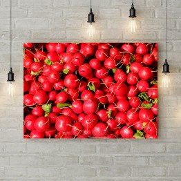 Картина на полотні "Врожай редис"