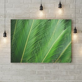 Картина на полотні "Листя зеленої пальми"