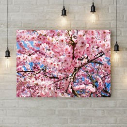 Картина на полотні "Дерево сакури"