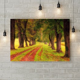 Картина на холсте "Дорога сквозь летний лес"