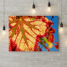 Картина на холсте "Красные осенние листья 2"