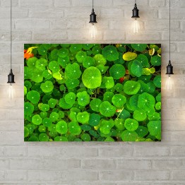 Картина на полотні "Фон із зелених квітів 4"