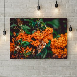 Картина на холсте "Оранжевая рябина"
