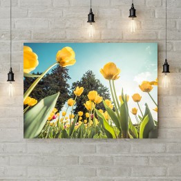Картина на холсте "Желтые тюльпаны"