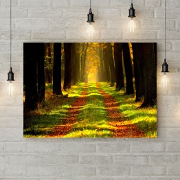 Картина на полотні "Лісова дорога"