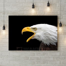 Картина на холсте "Кричащий орел"