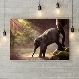 Картина на холсте "Слоны на водопое"
