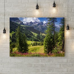 Картина на полотні "Гірський краєвид"