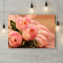 Картина на холсте "Розовые тюльпаны"