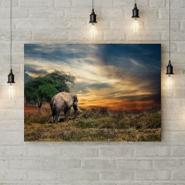 Картина на полотні "Слон іде у захід сонця"