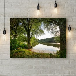 Картина на полотні "Озеро у лісі"