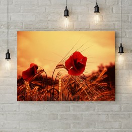 Картина на холсте "Маки в поле с пшеницей"