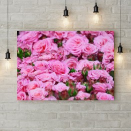 Картина на холсте "Розовые розы в саду"
