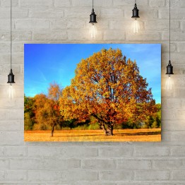 Картина на холсте "Осеннее дерево"