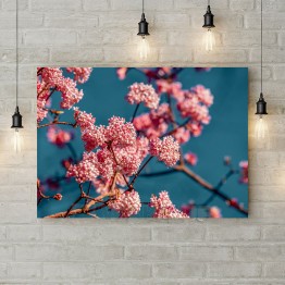 Картина на холсте "Розовые краски весны"