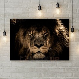 Картина на холсте "Лев - царь зверей"