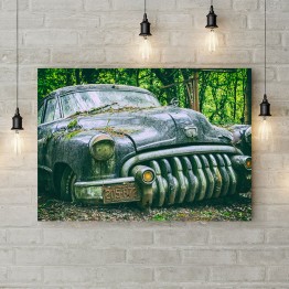 Картина на холсте "Ретро авто в земле"
