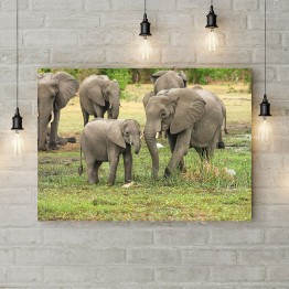 Картина на холсте "Слоны на прогулке"