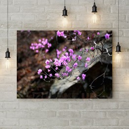 Картина на холсте "Веточка с розовыми цветками"