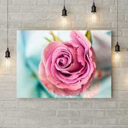 Картина на холсте "Розовая роза 3"