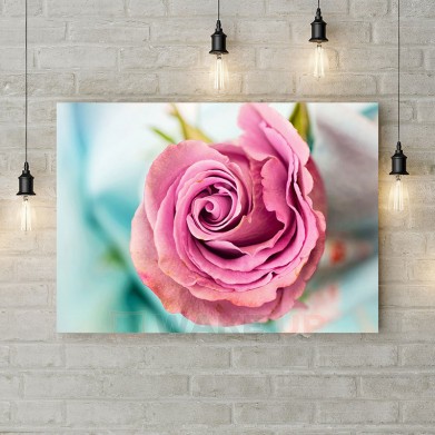 Картина на холсте "Розовая роза 3"