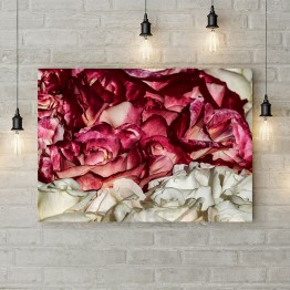 Картина на холсте "Лепестки роз"