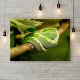 Картина на холсте "Зеленая змея на ветке"