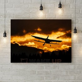 Картина на холсте "Вечерний полет"