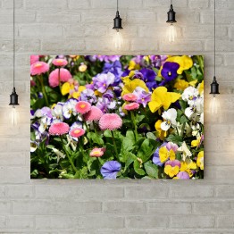 Картина на полотні "Садові квіти"