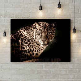 Картина на холсте "Взгляд леопарда"