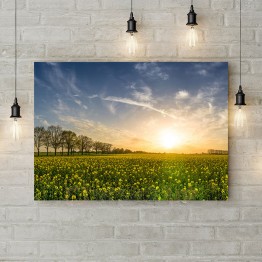 Картина на полотні "Схід сонця над полем"