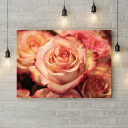 Картина на холсте "Красивые розы"