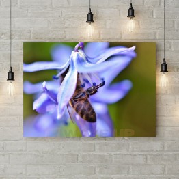 Картина на холсте "Пчела на цветке"