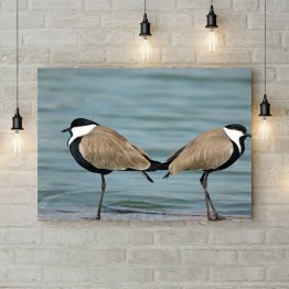 Картина на полотні "Птахи на озері"