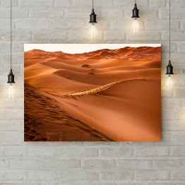 Картина на холсте "Тишина пустыни"